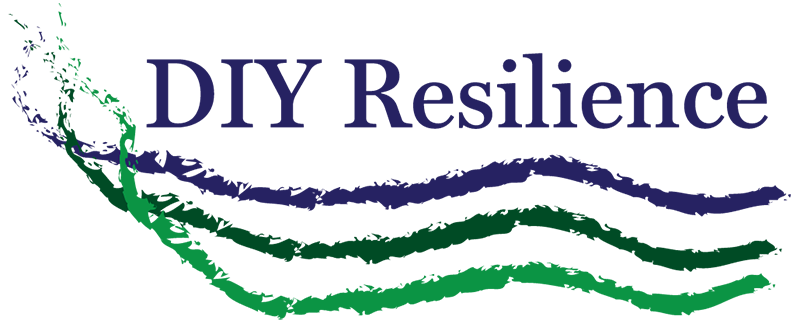DIY Resilience Logo